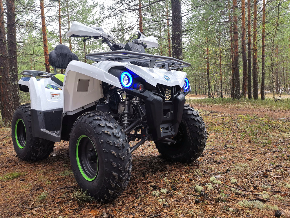 Квадроцикл PROMAX RENEGADE 280 (2025) в Новороссийске