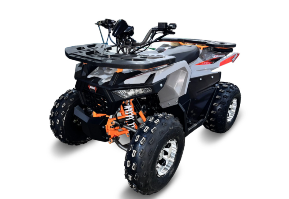 Квадроцикл GBM DAXTER 220 NEW PREMIUM в Новороссийске