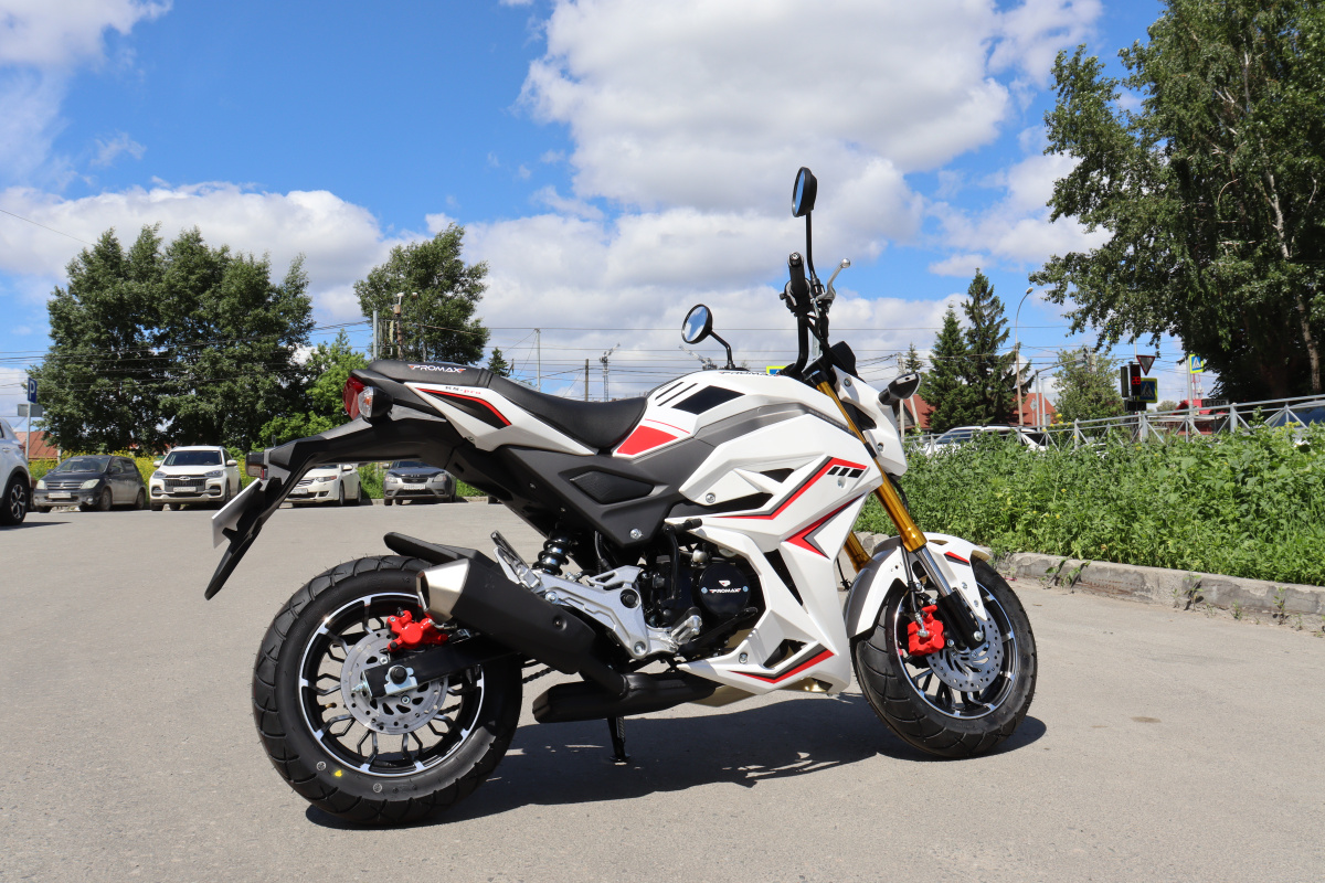 Мотоцикл PROMAX STRYKER 200(49) 2.0 в Новороссийске