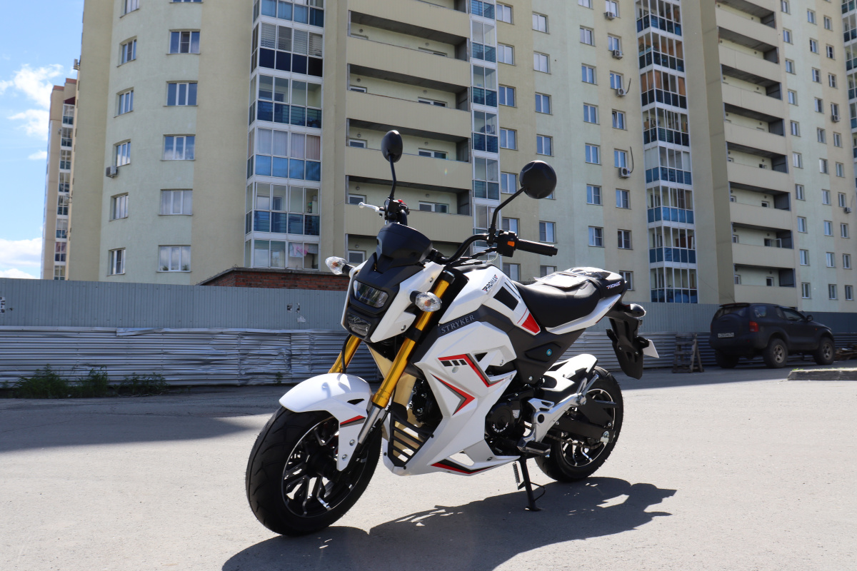 Мотоцикл PROMAX STRYKER 200(49) 2.0 в Новороссийске
