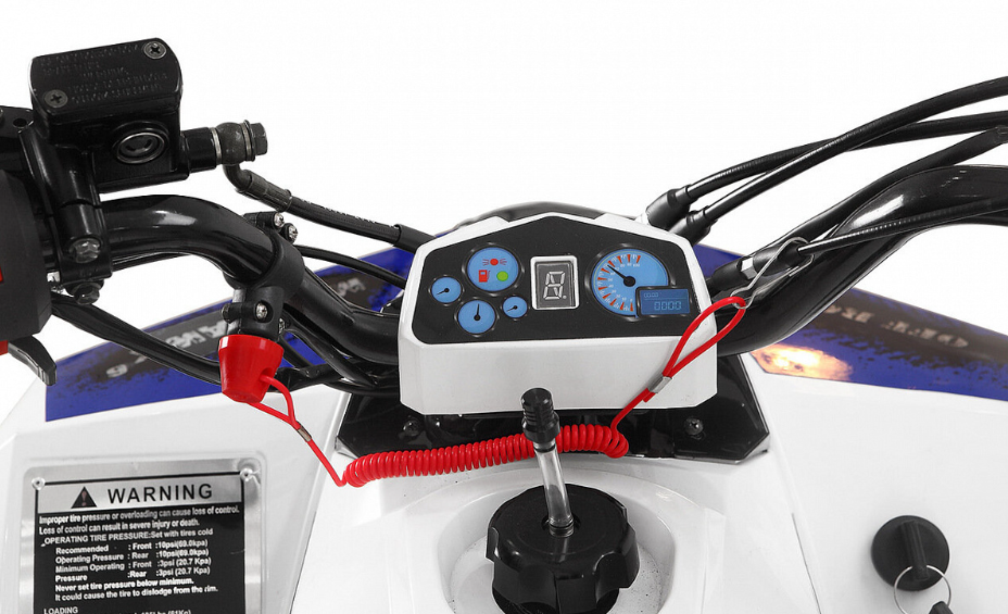 Квадроцикл Yacota Raposa 130 PRO-SPORT в Новороссийске