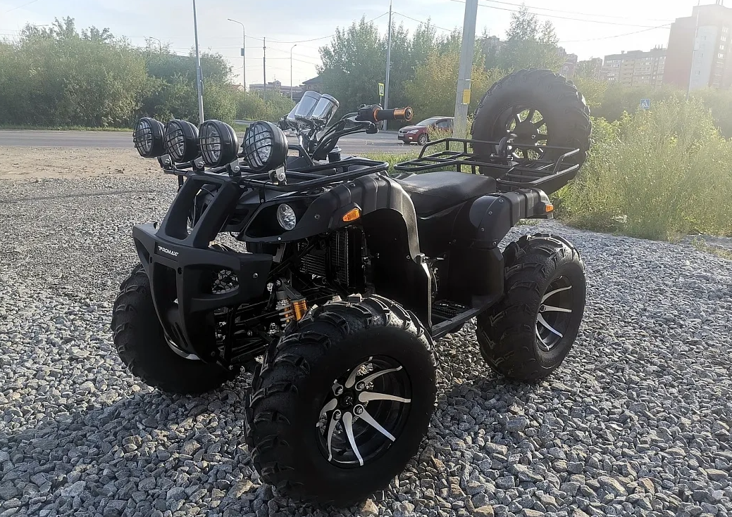 Квадроцикл PROMAX LEO 300 Max (кардан) в Новороссийске