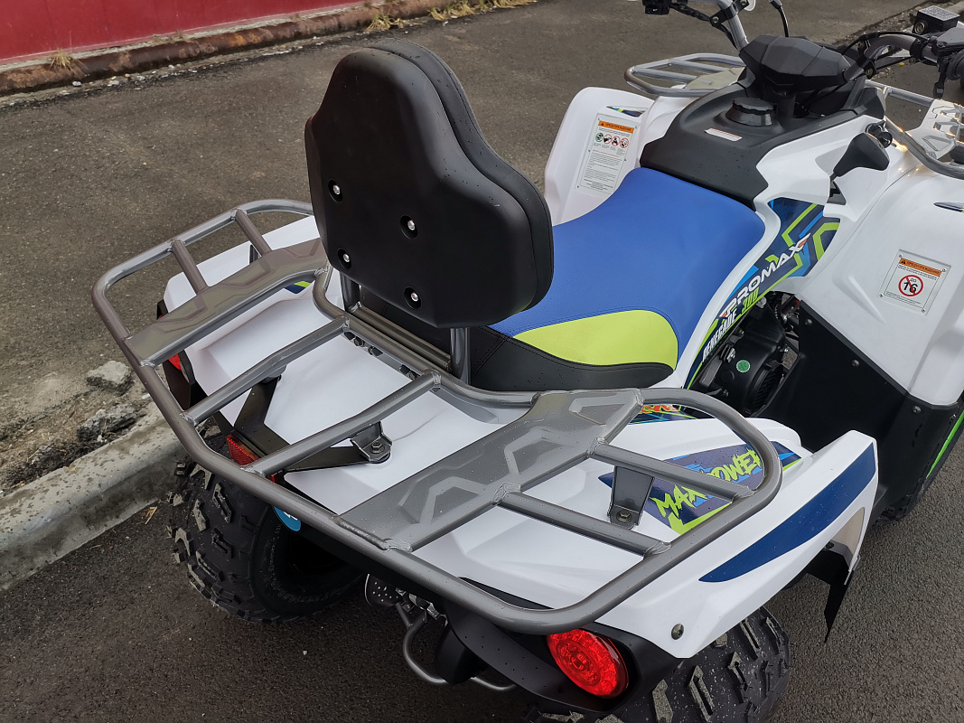 Квадроцикл PROMAX RENEGADE 280 LUX (2025) в Новороссийске
