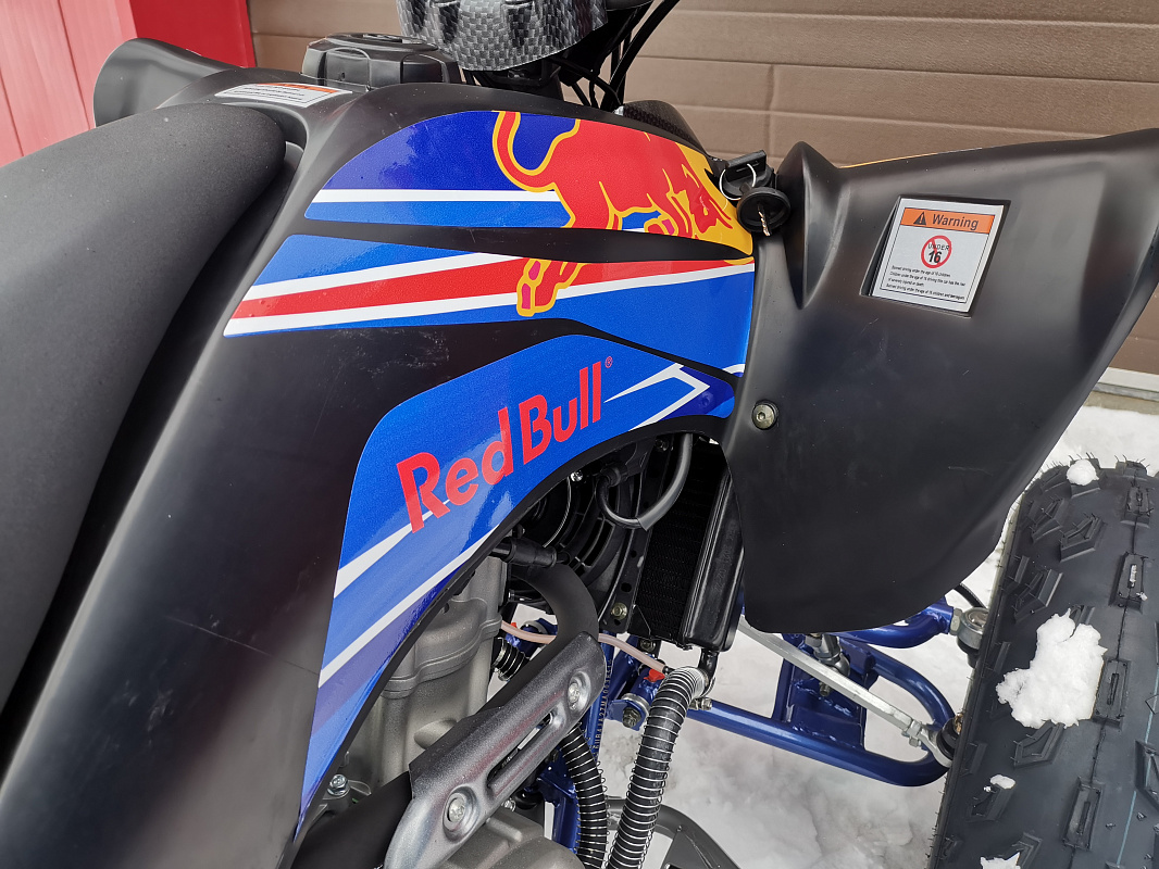 Квадроцикл PROMAX RAPTOR 300 NEW RedBull в Новороссийске