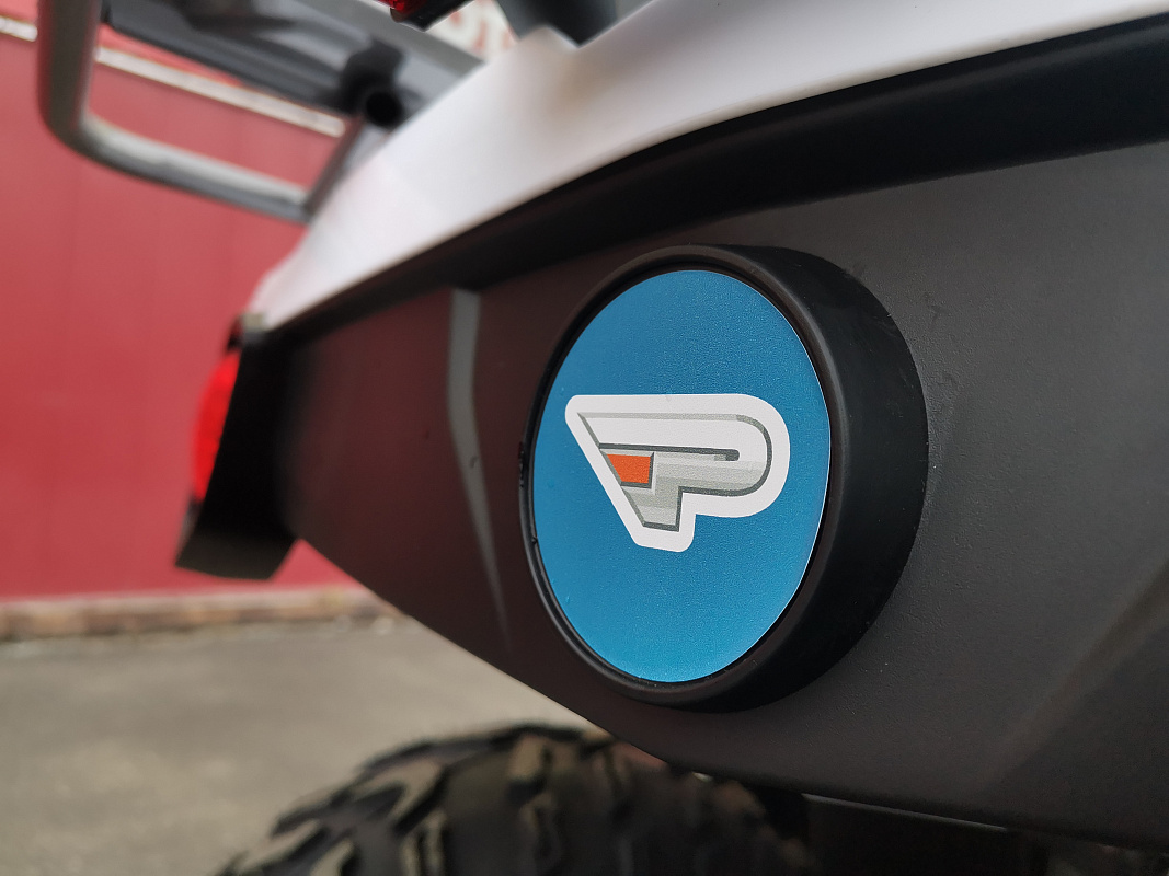Квадроцикл PROMAX RENEGADE 280 LUX (2025) в Новороссийске