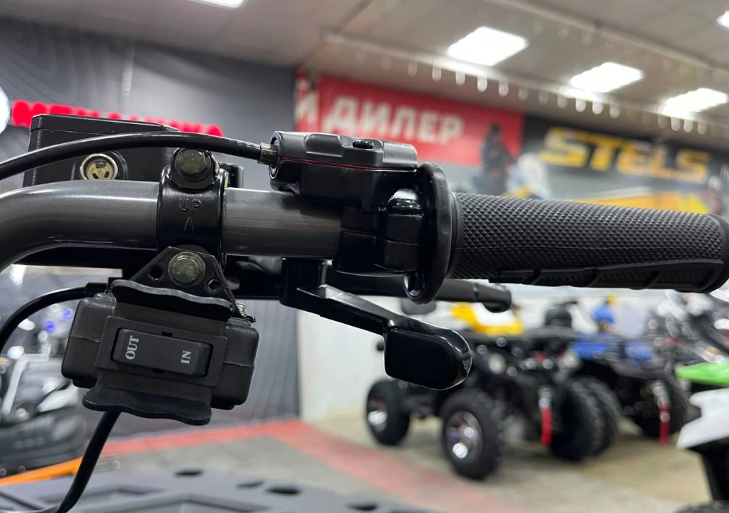 Квадроцикл PROMAX RENEGADE 300 LONG WINCH PRO (2025) в Новороссийске