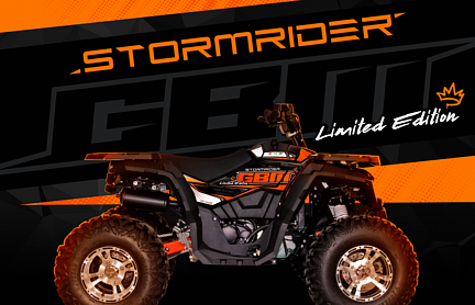 Квадроцикл GBM STORMRIDER 320 NEW LUX в Новороссийске