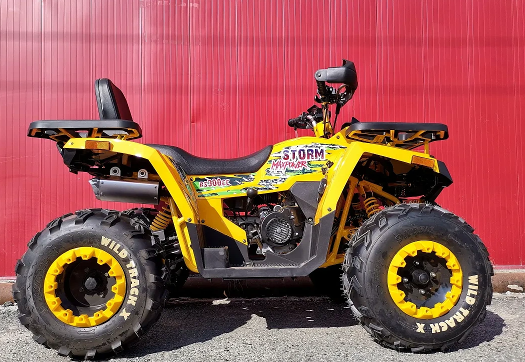 Квадроцикл PROMAX STORM 280 LUX в Новороссийске