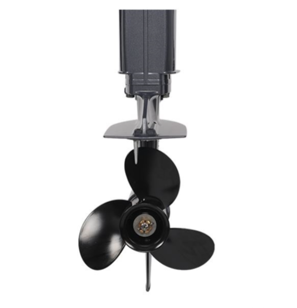 Лодочный мотор ALLFA CG Т40FW S в Новороссийске