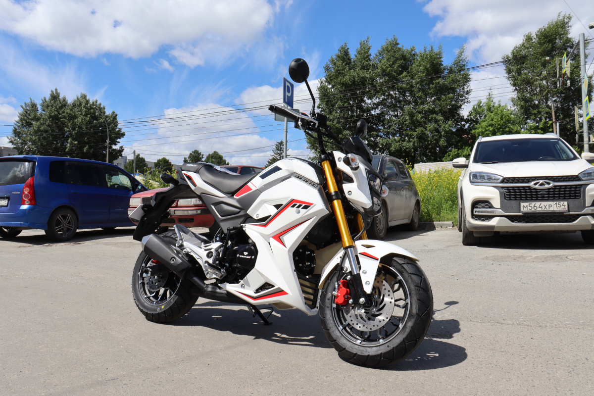 Мотоцикл PROMAX STRYKER 200(49) 2.0 в Новороссийске