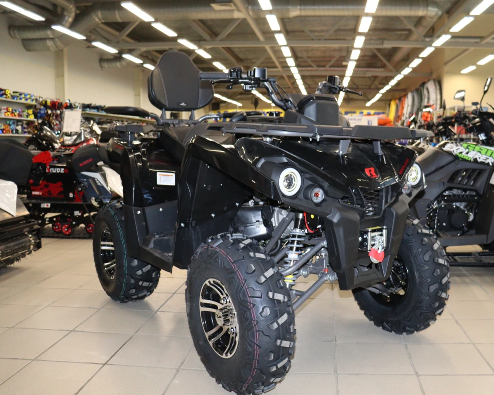 Квадроцикл PROMAX RENEGADE 300 LONG WINCH PRO (2025) в Новороссийске