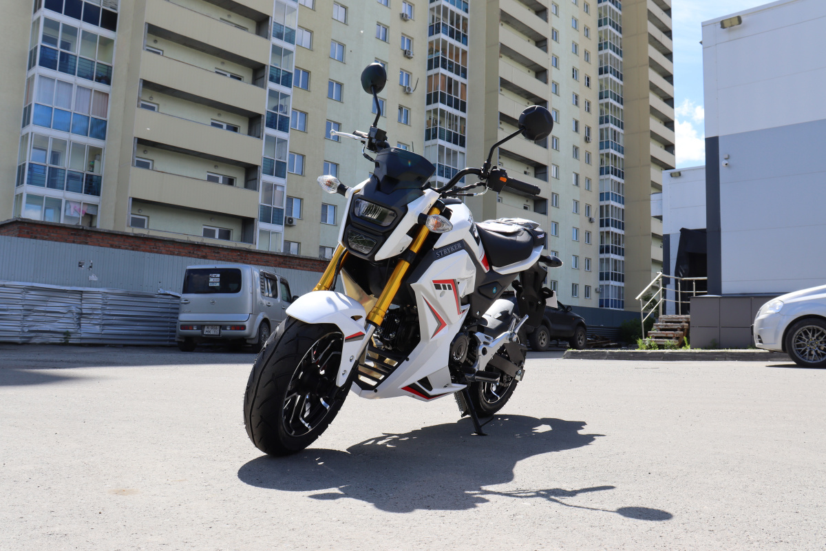 Мотоцикл PROMAX STRYKER 200(49) 2.0 в Новороссийске