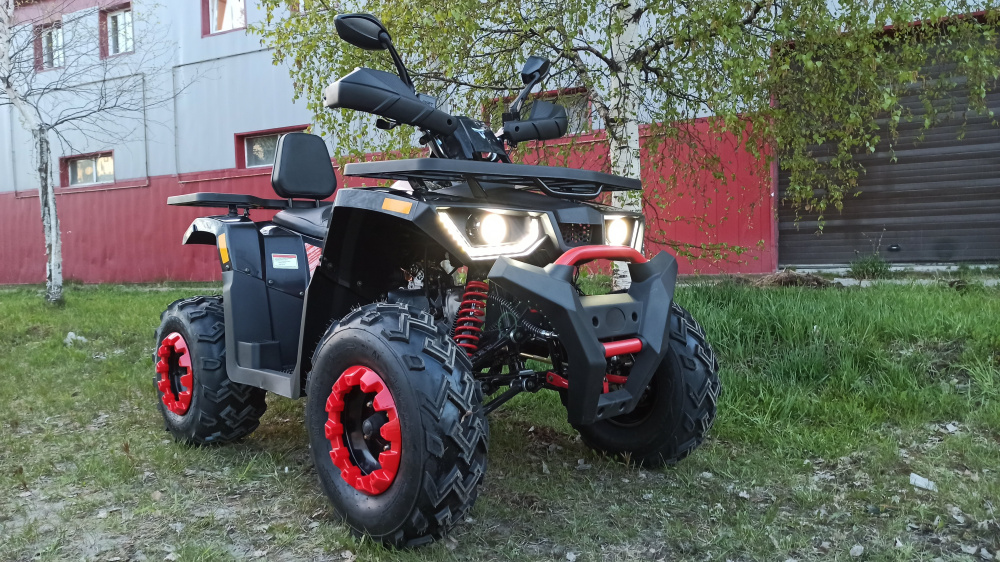 Квадроцикл PROMAX WILD 300 LUX (2024) в Новороссийске