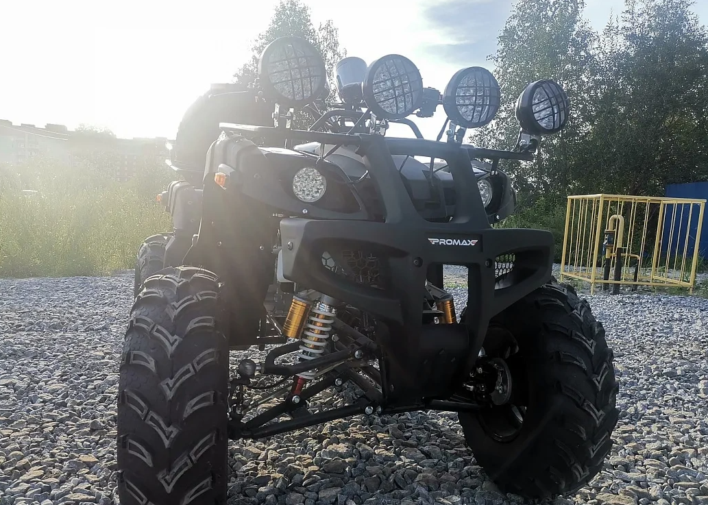 Квадроцикл PROMAX LEO 300 Max (кардан) в Новороссийске