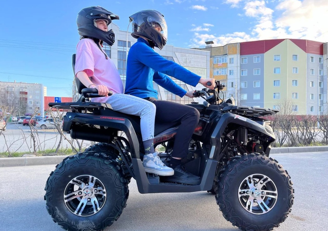 Квадроцикл PROMAX RENEGADE 300 LONG WINCH PRO (2025) в Новороссийске