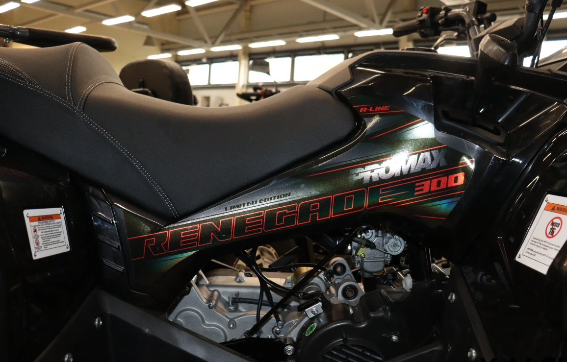 Квадроцикл PROMAX RENEGADE 300 LONG WINCH PRO (2025) в Новороссийске