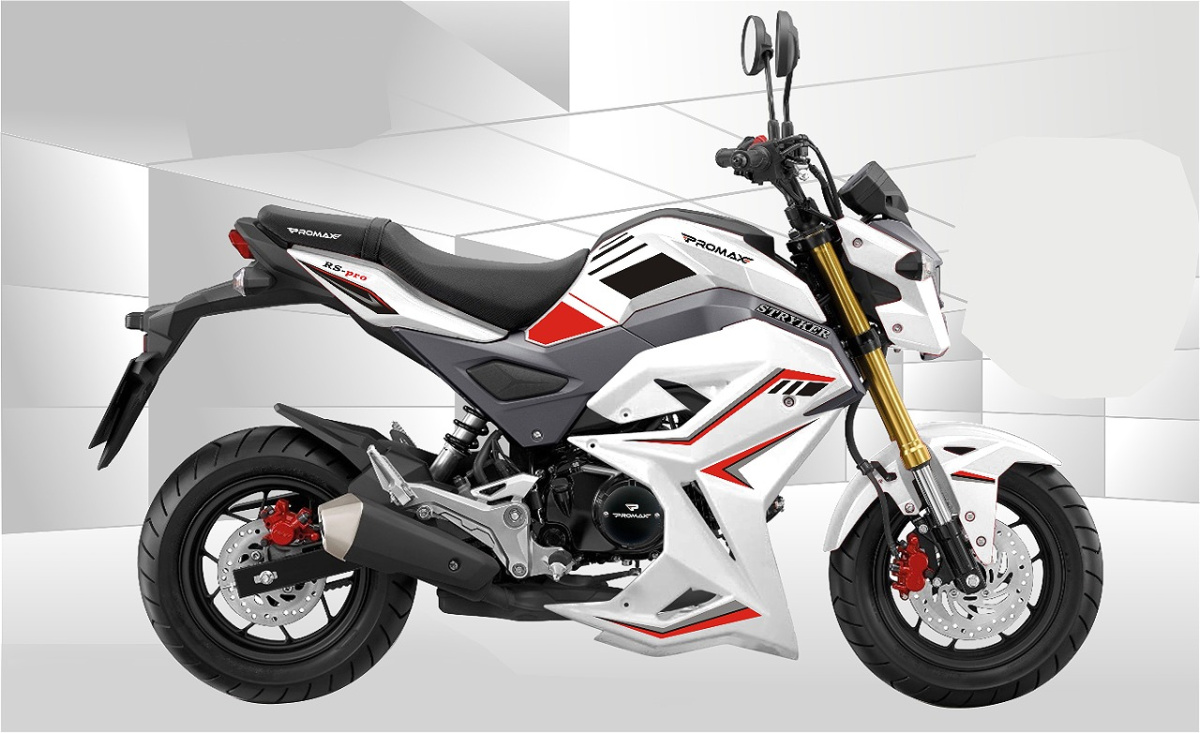 Мотоцикл PROMAX STRYKER 200(49) 2.0 в Новороссийске