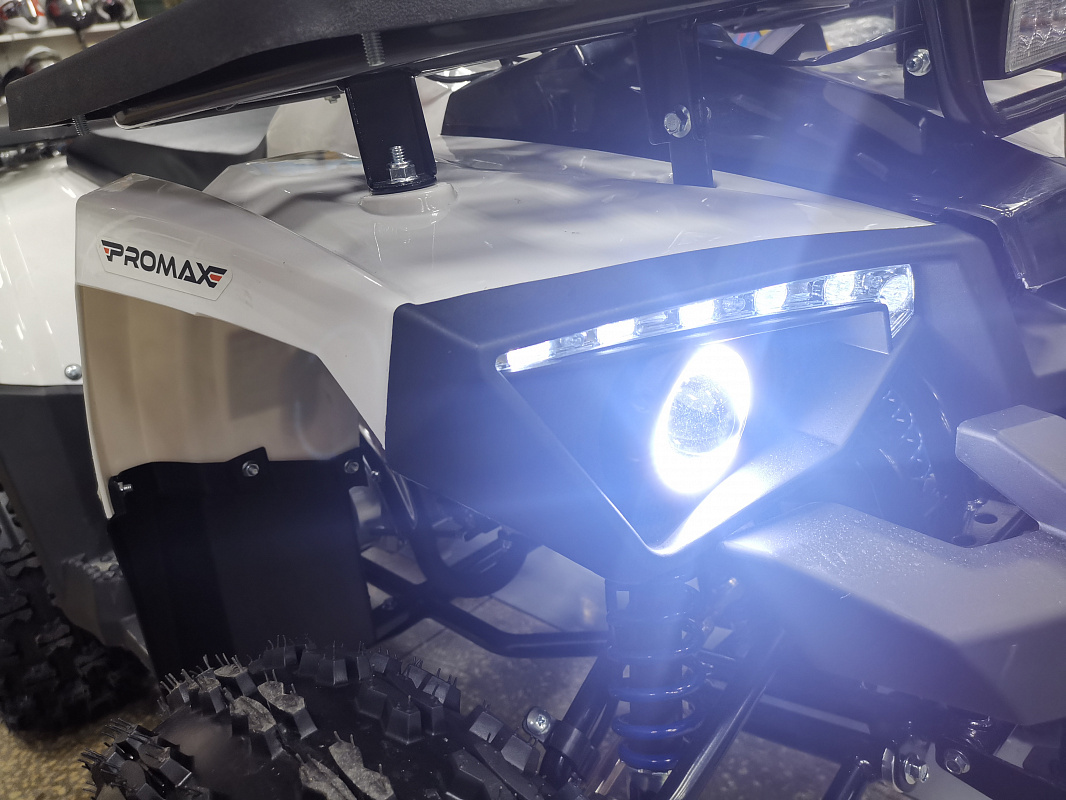Квадроцикл PROMAX WILD 175 LUX в Новороссийске