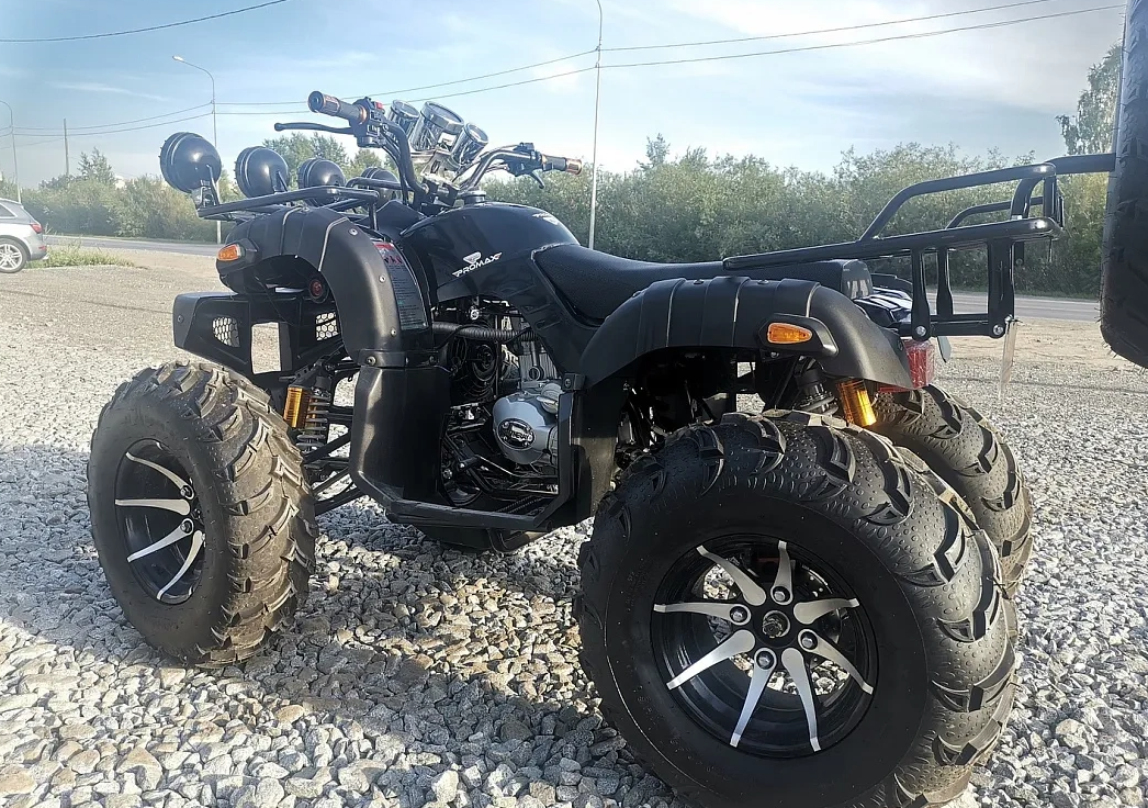 Квадроцикл PROMAX LEO 300 Max (кардан) в Новороссийске