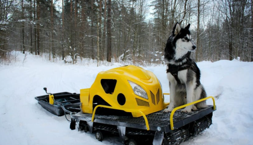 Мотобуксировщик LEBEDEV MOTORS ВОЛКОДАВ POWER V13 в Новороссийске