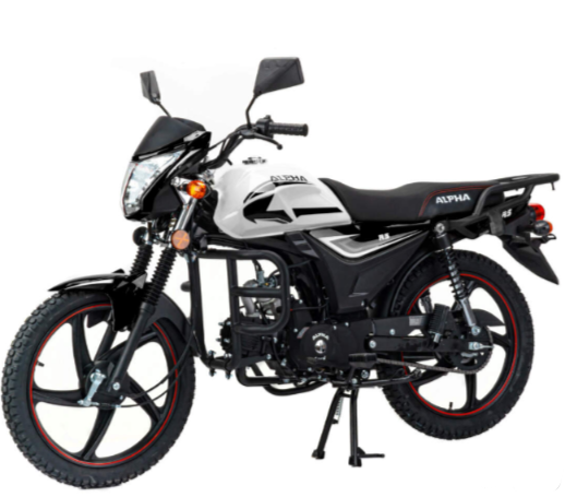 Мопед MOTOLAND (МОТОЛЕНД) Альфа RS 11 (LM48-B) в Новороссийске