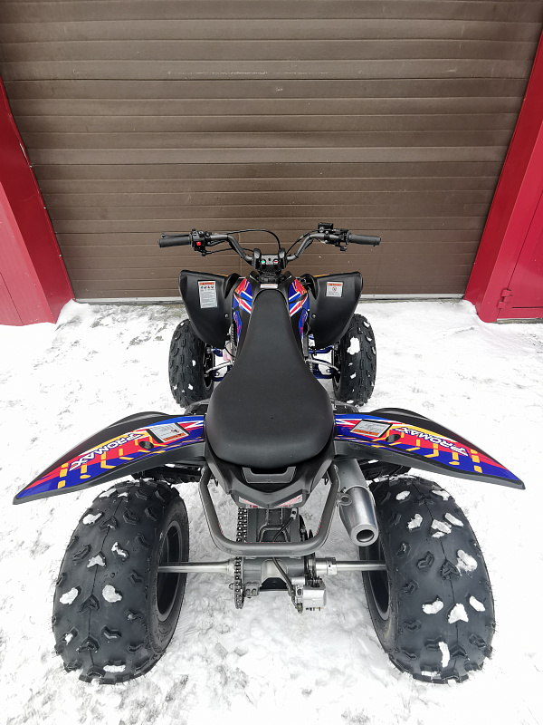 Квадроцикл PROMAX RAPTOR 300 NEW RedBull в Новороссийске