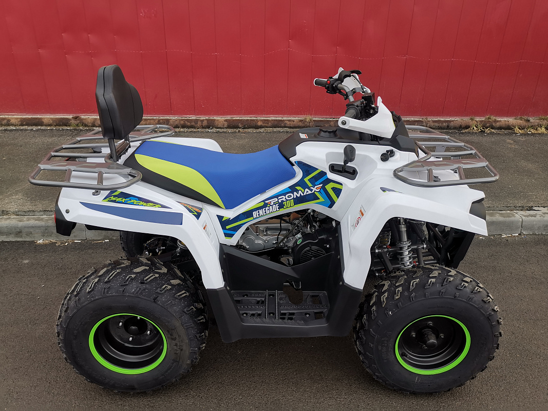 Квадроцикл PROMAX RENEGADE 280 LUX (2025) в Новороссийске