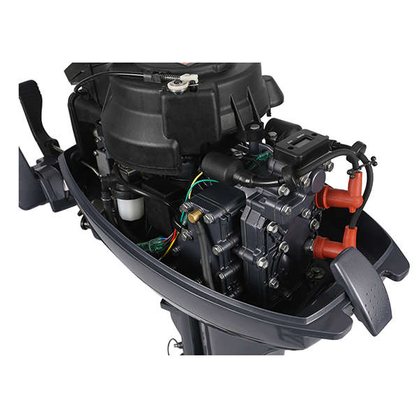 ЛОДОЧНЫЙ МОТОР ALLFA CG Т9,9 Limit в Новороссийске