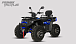 Квадроцикл PROMAX TAURUS 300 MAX-PRO LONG в Новороссийске
