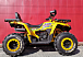 Квадроцикл PROMAX STORM 280 LUX в Новороссийске