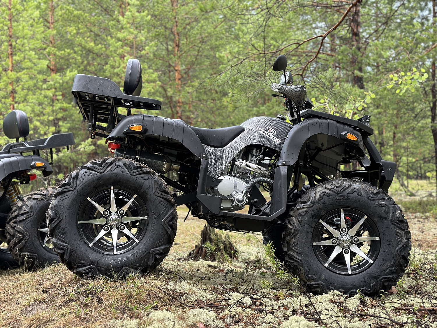 Квадроцикл PROMAX 320 DOMINATOR (2025) в Новороссийске