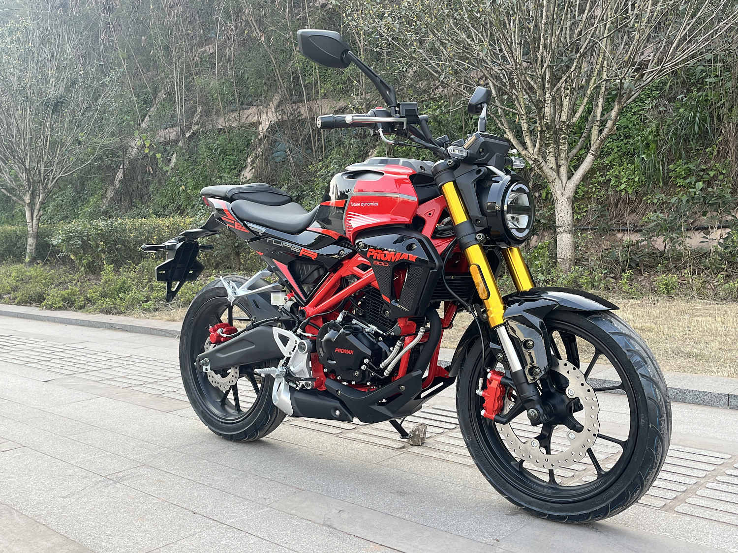 Мотоцикл PROMAX CB300 в Новороссийске