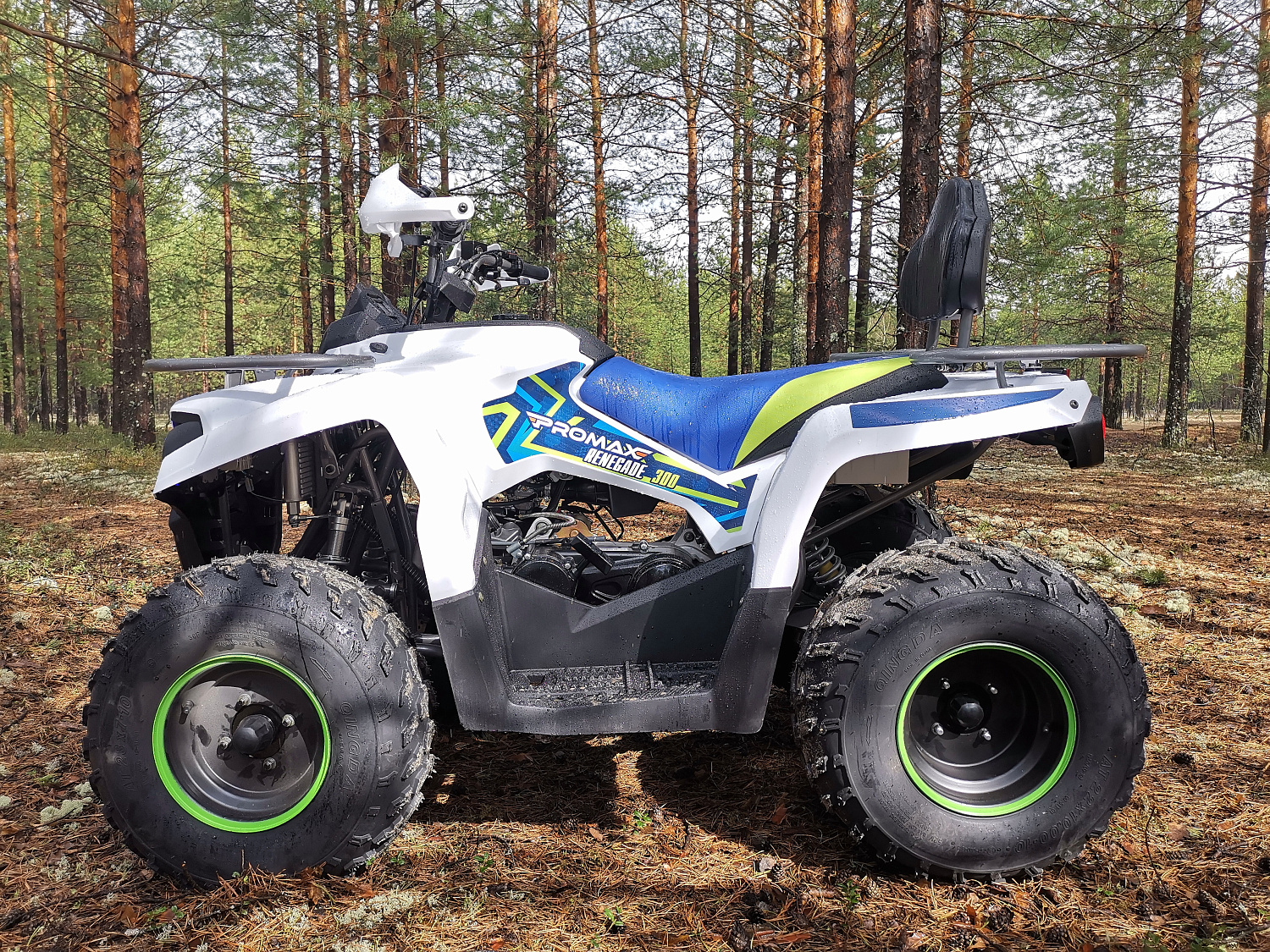 Квадроцикл PROMAX RENEGADE 280 (2025) в Новороссийске