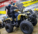 Квадроцикл PROMAX ATV 250 (2025) в Новороссийске