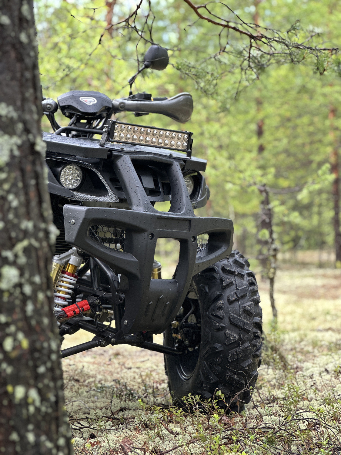 Квадроцикл PROMAX 320 DOMINATOR (2025) в Новороссийске