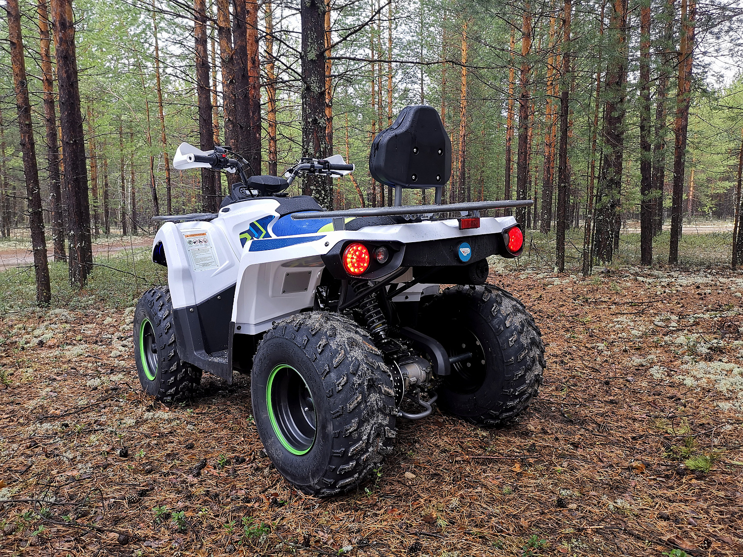 Квадроцикл PROMAX RENEGADE 280 (2025) в Новороссийске