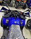 Квадроцикл PROMAX WILD 2.0 190 PRO (2025) в Новороссийске