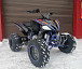 Квадроцикл PROMAX RAPTOR 300 NEW RedBull в Новороссийске