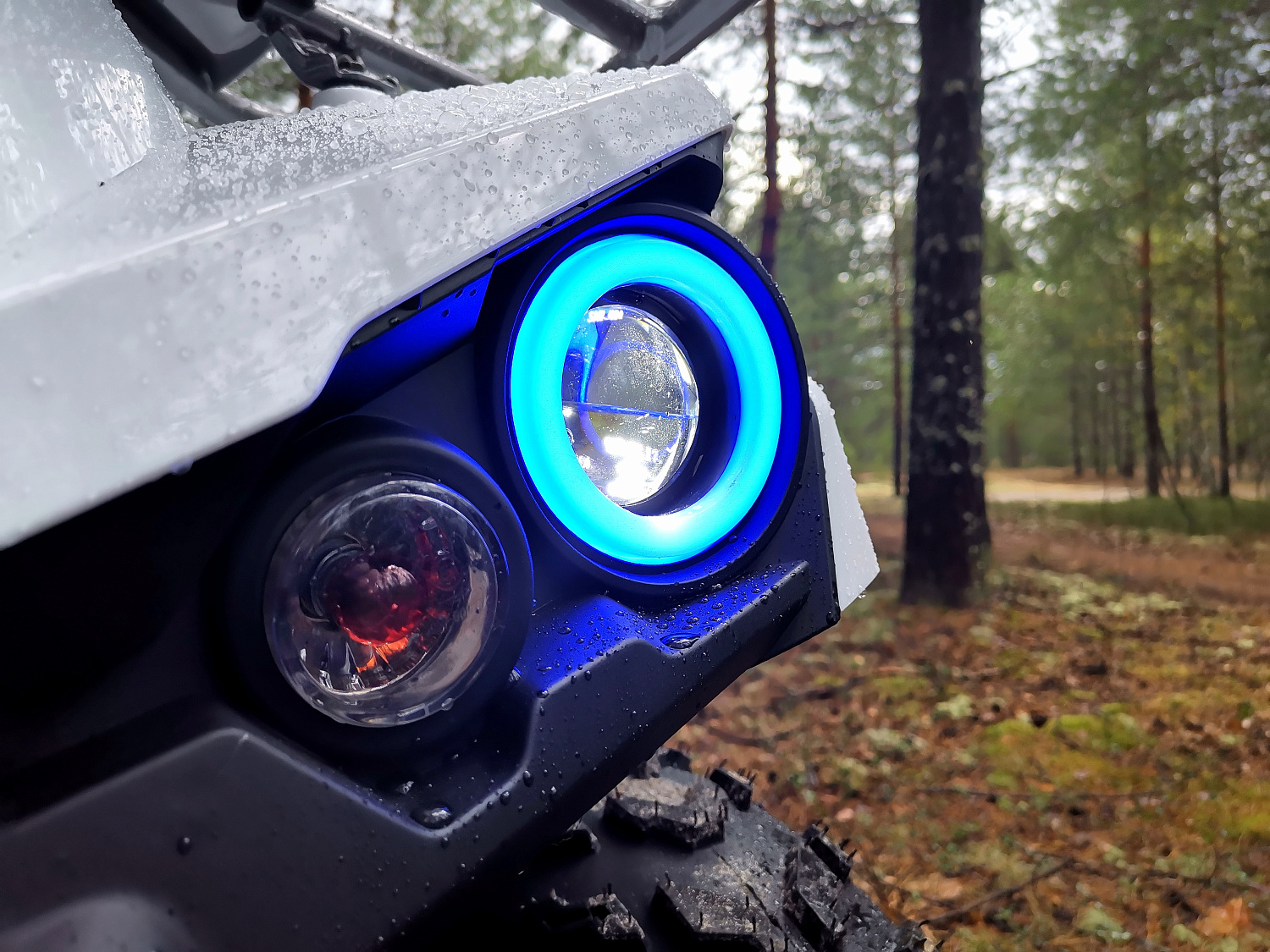 Квадроцикл PROMAX RENEGADE 280 (2025) в Новороссийске