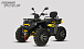Квадроцикл PROMAX TAURUS 300 MAX-PRO LONG в Новороссийске