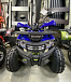 Квадроцикл PROMAX WILD 2.0 190 PRO (2025) в Новороссийске